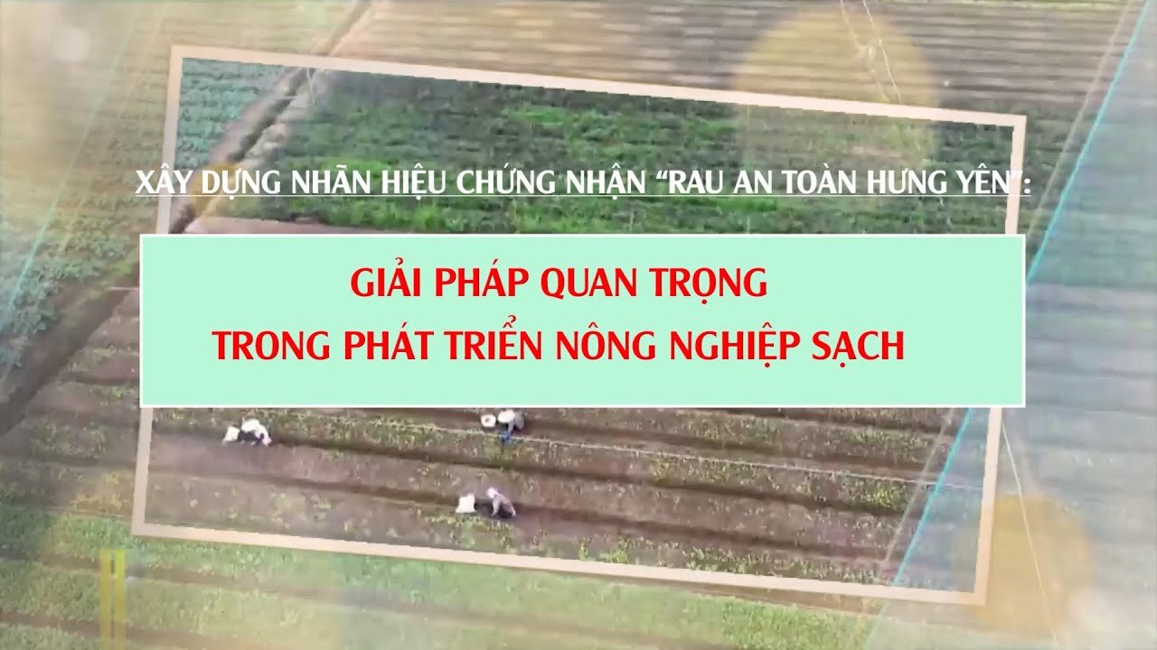 Xây dựng Nhãn hiệu chứng nhận “Rau an toàn Hưng Yên”