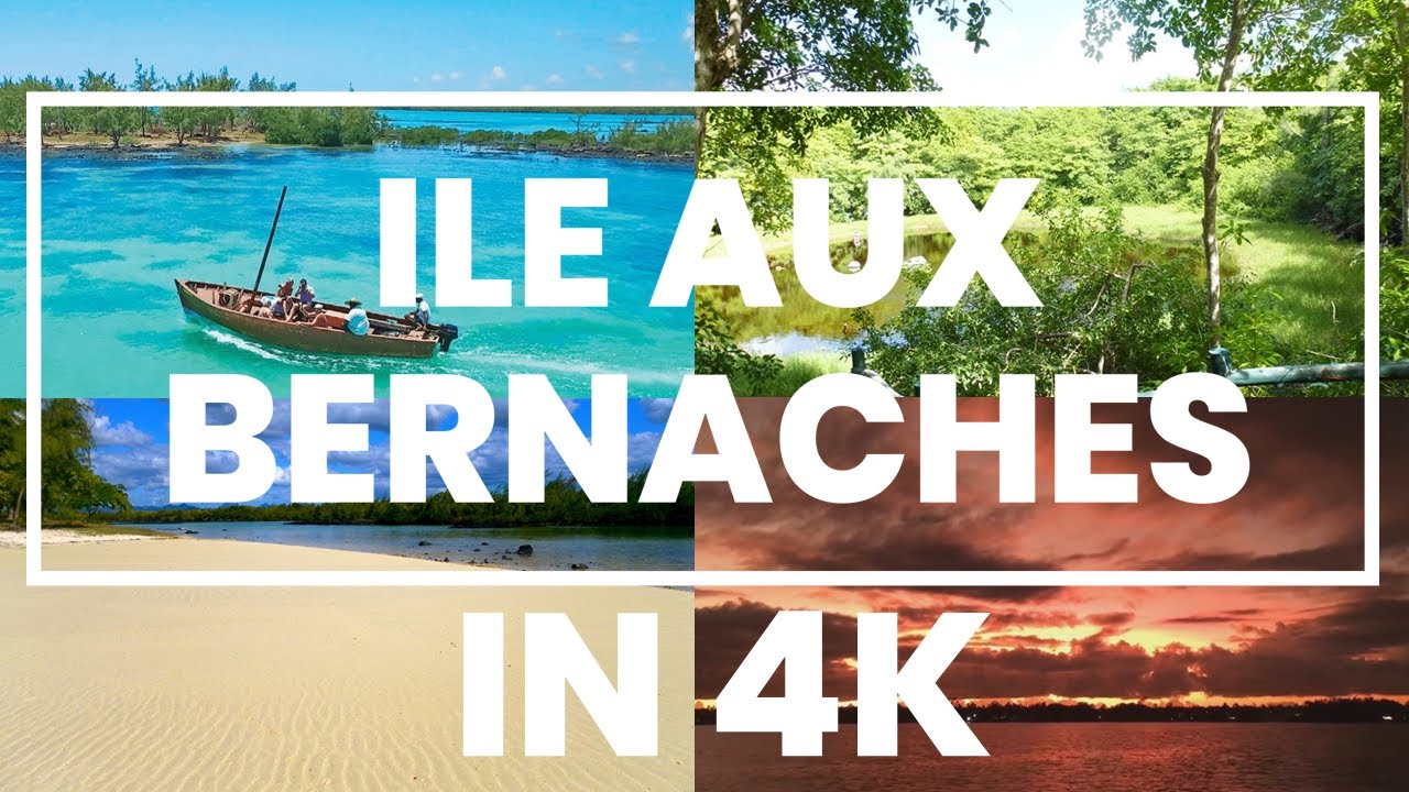 Ile Aux Bernaches, Mauritius in 4K