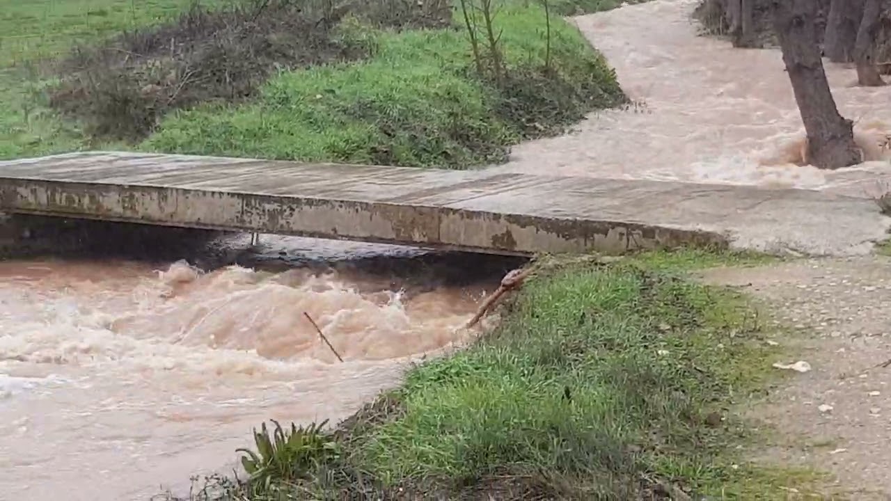 Villaverde de Guadalimar. Crecida de los ríos febrero de 2026.