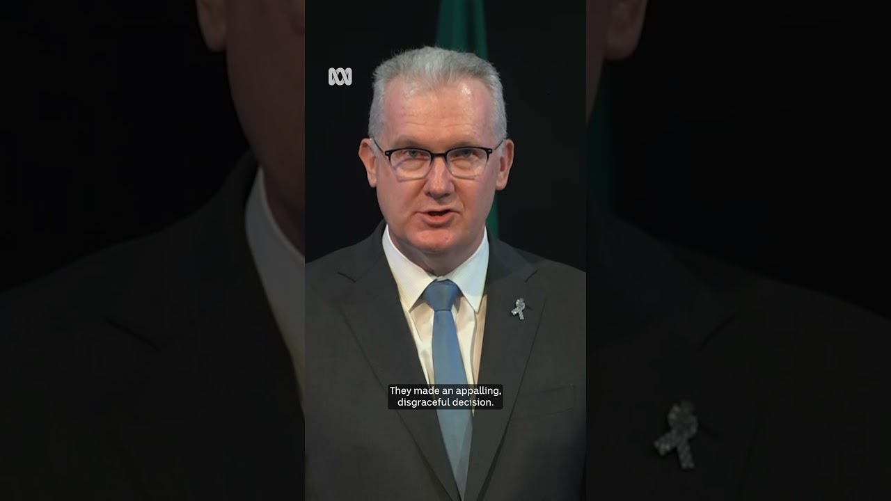 ISIS-linked group will 'face the full force of the law' upon return to Australia: Burke | ABC NEWS