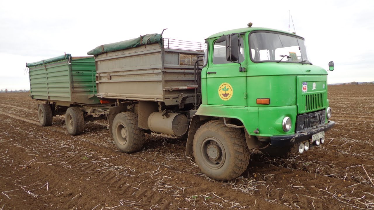 IFA L 60 Kartoffelernte in der B&ouml;rde 2014