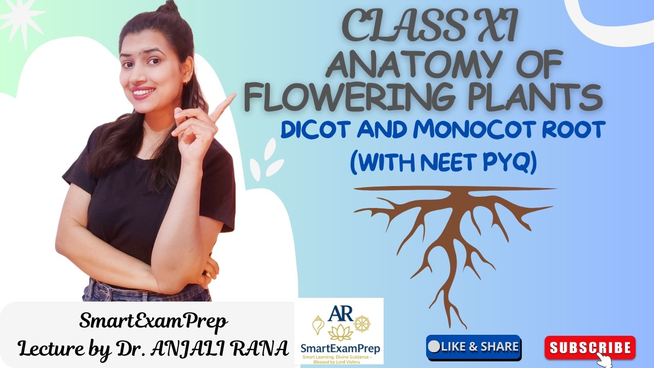 Anatomy of Flowering Plants Dicot&Monocot Root-Part3 | NCERT LinetoLine Explanation| ClassXI Biology