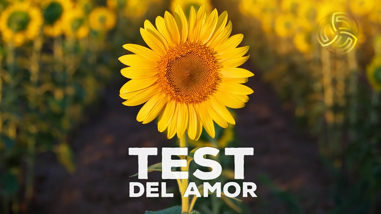 Test del amor