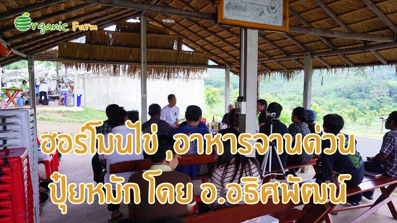 ฮอร์โมนไข่-อาหารจานด่วน-ปุ๋ยหมัก โดย อ.อธิศพัฒน์