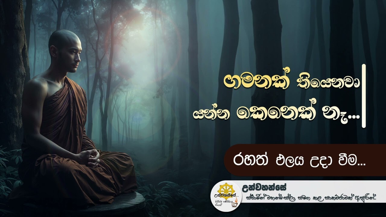 ගමනක් තියෙනවා, යන්න කෙනෙක් නෑ... රහත් ඵලය උදා වීම | Niwan Dakimu