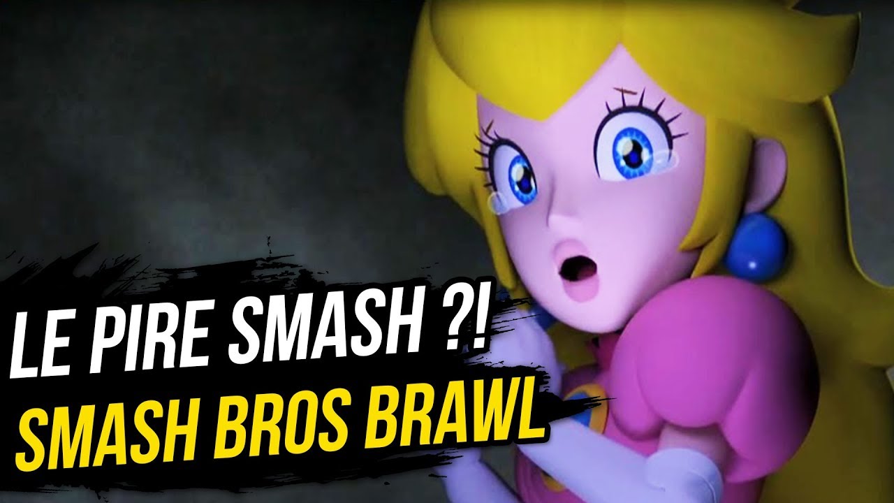 POURQUOI SMASH BROS BRAWL est DÉTESTÉ !?