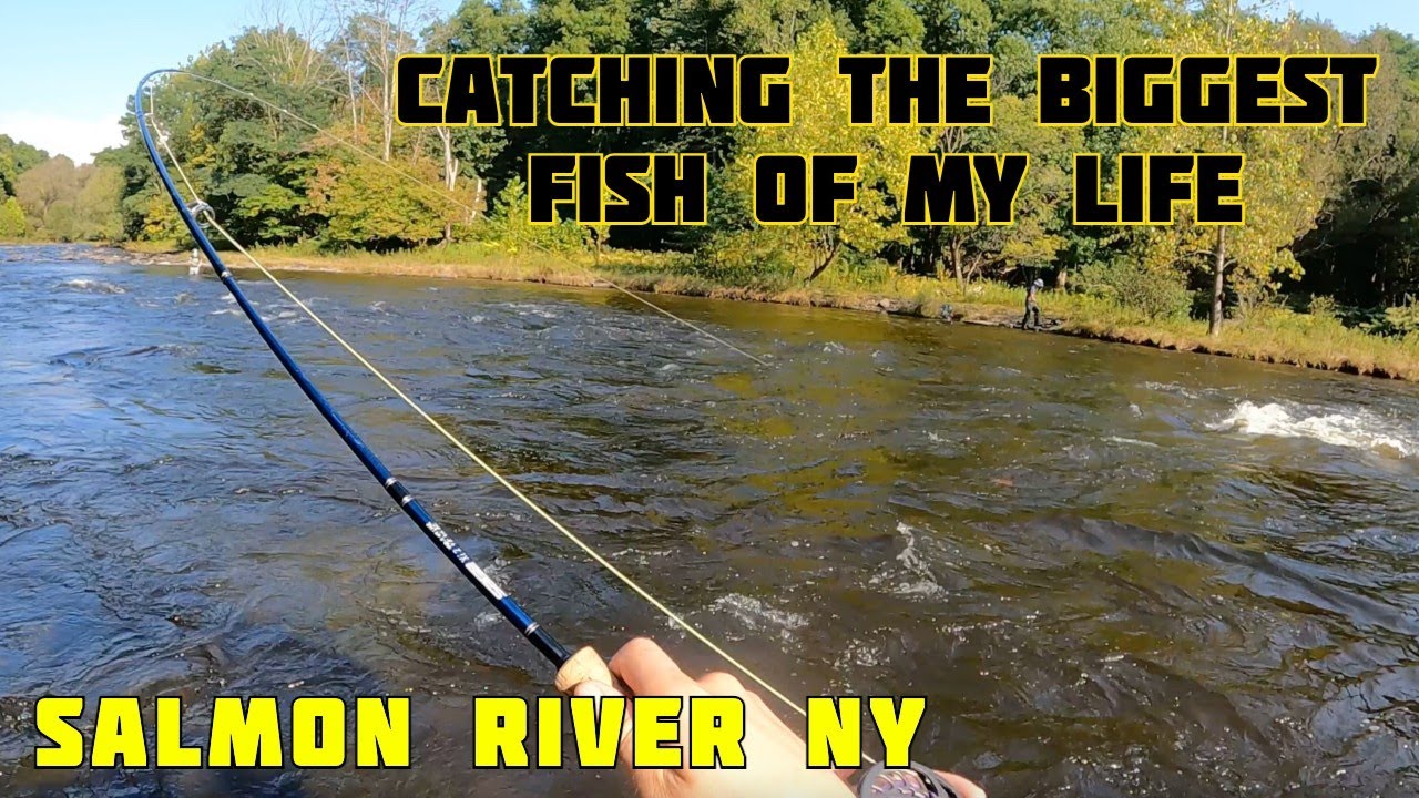Fly Fishing for the Strongest Fish Of My Life! Salmon Fishing the Douglaston Salmon Run, Pulaski NY
