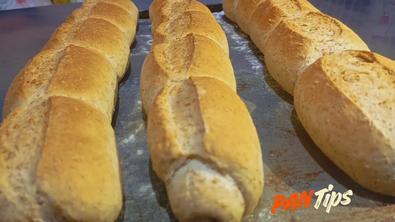 PAN FELIPE CON SALVADO | Tutorial Completo Paso a Paso