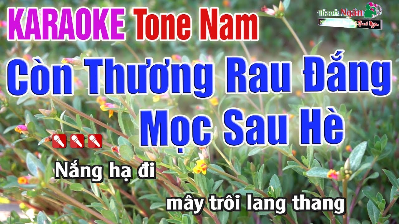 C&ograve;n Thương Rau Đắng Mọc Sau H&egrave; Karaoke Tone Nam | Bản Chuẩn 2020 - Nhạc Sống Thanh Ng&acirc;n