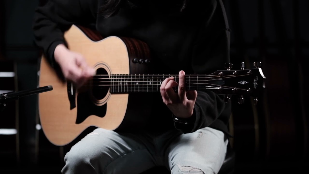 Taylor 317e ES2 V-Class