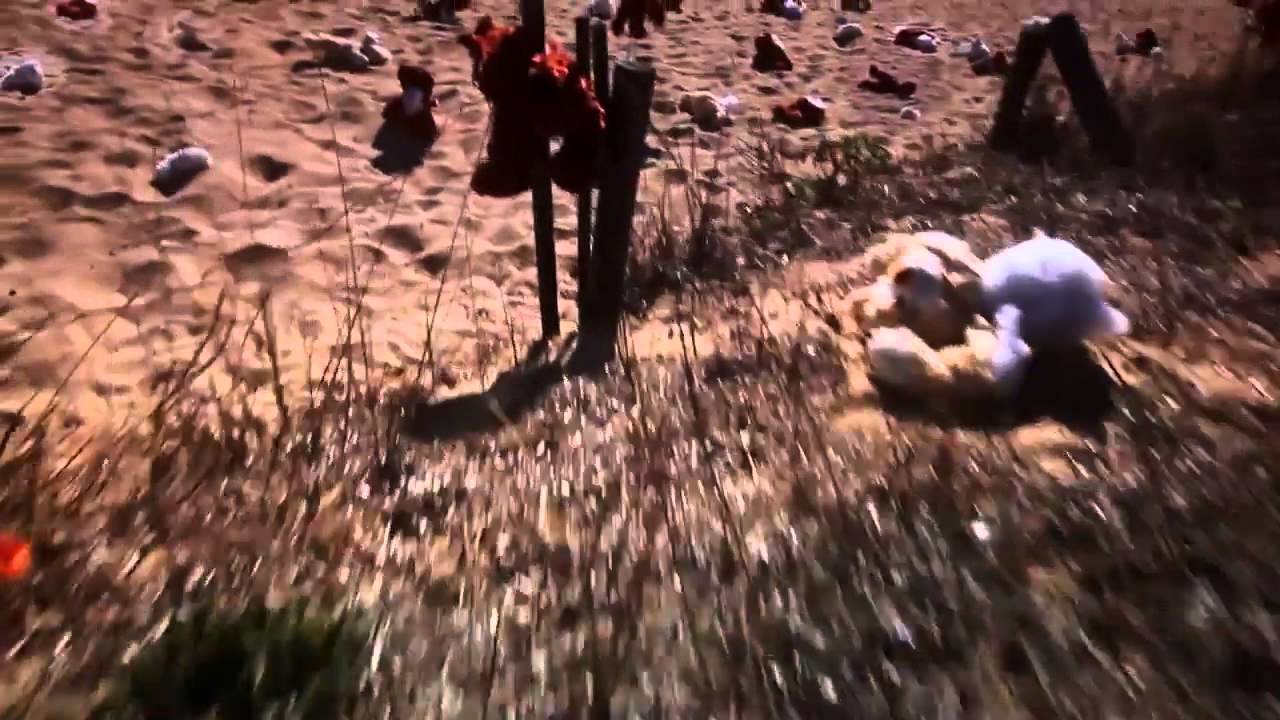 Naughty Bear: Panic in Paradise - Beach Massacre Trailer