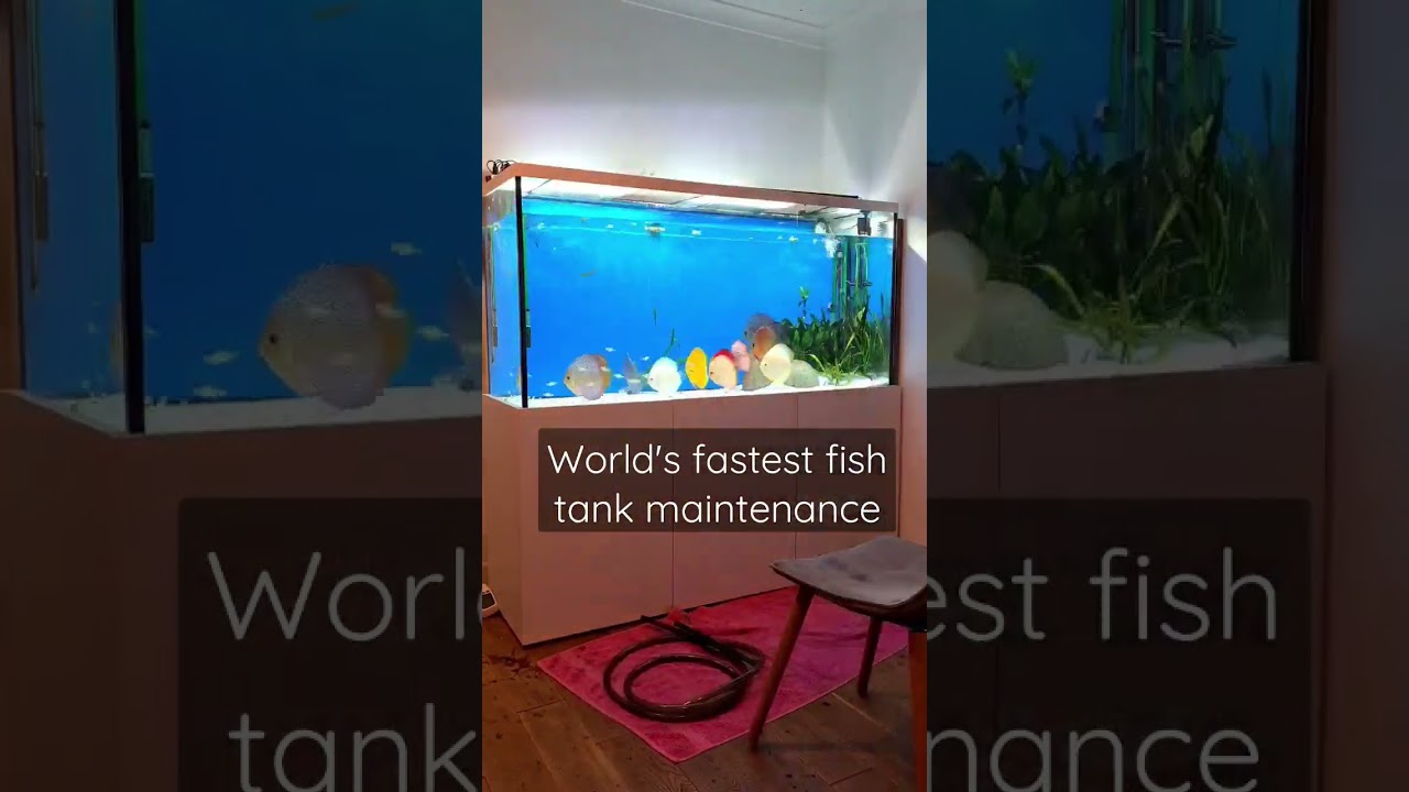How fast can you change your water? 100l in 20 mins. 