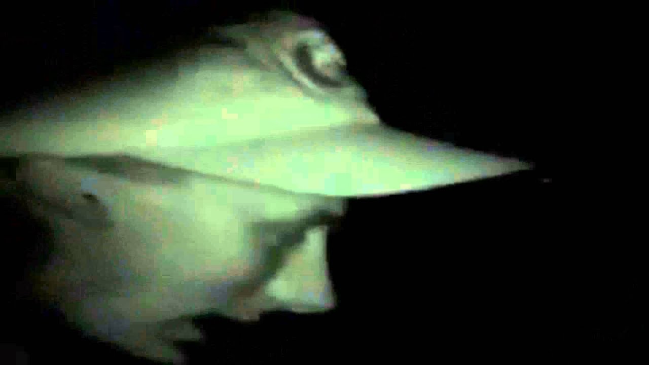 Edgar Large - Gute Laune
