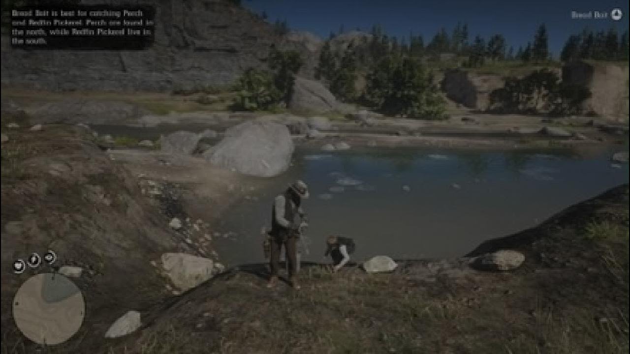 Red Dead Redemption 2 part 6