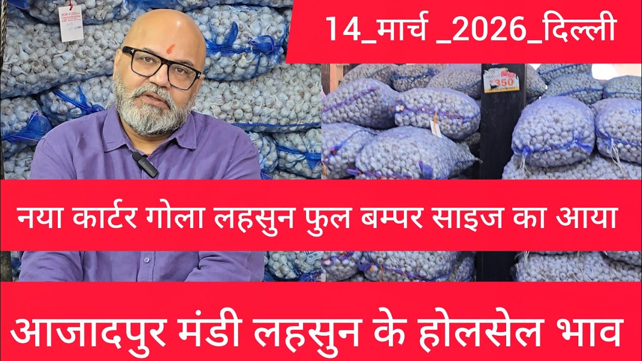 March 14, 2026 दिल्ली 🧄 लहसुन के भाव Azadpur delhi mandi today garlic market price #garlicmarket