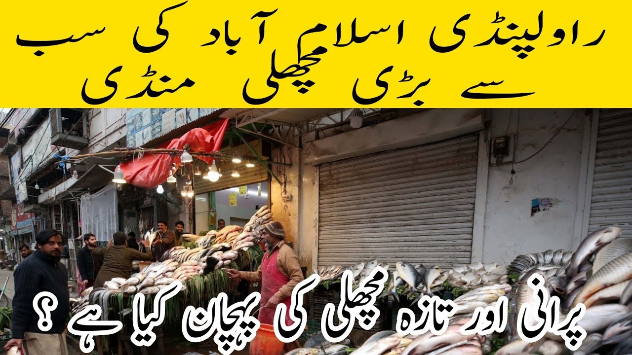 Most Famous and biggest fish mandi of Rawalpindi and islamabad | Fish mandi fresh Fish