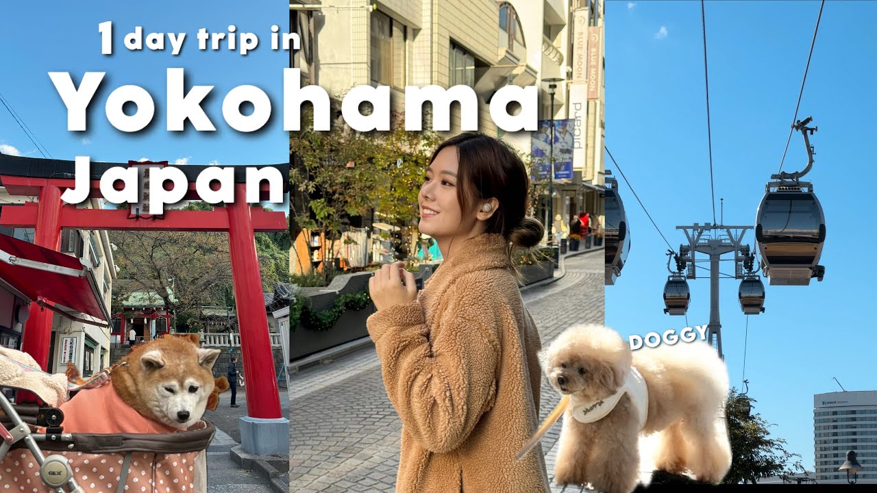 Japan 1 day trip in Yokohama เมืองใกล้ Tokyo, ตะลุยกิน, ย่าน Shopping, Cable car, มุมถ่ายรูป