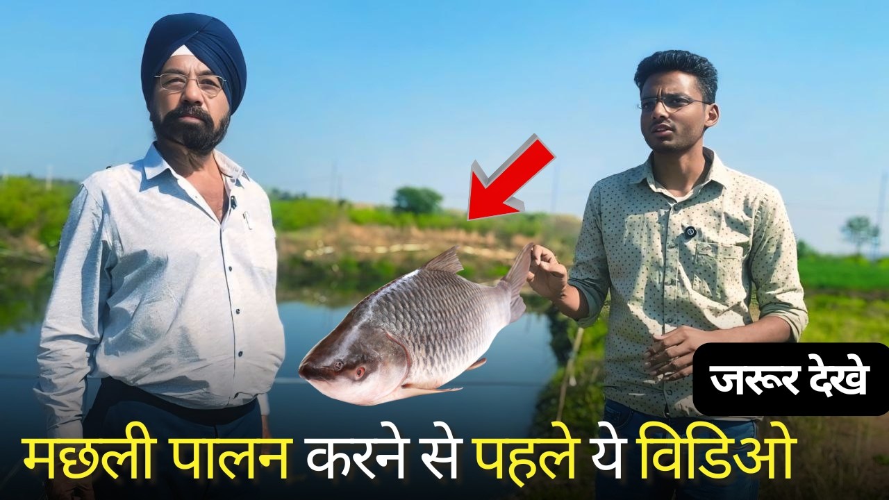 गुजराल सर के तालाब मे नजर आई ये कमी || मछली पालक न करे ये गलती || Fish Farm Visit in Jabalpur m.p.