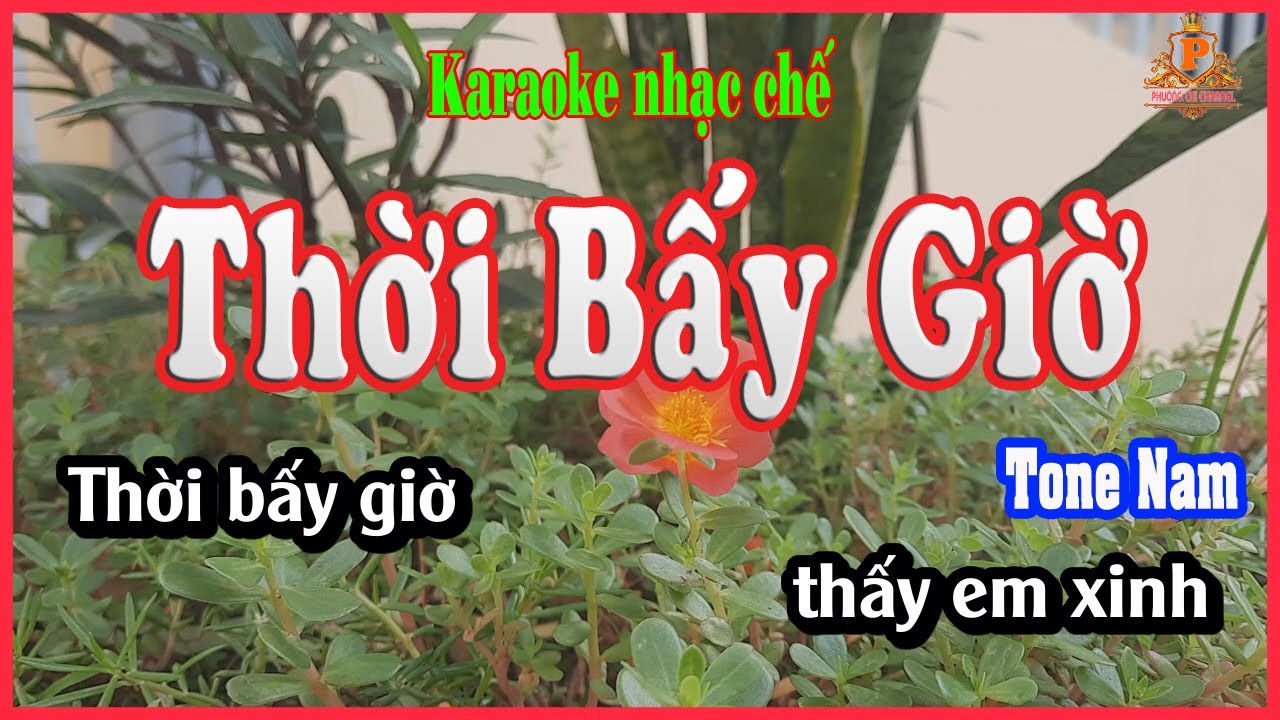Karaoke nhạc chế Thời Bấy Giờ chớ tin ai |Tone Nam