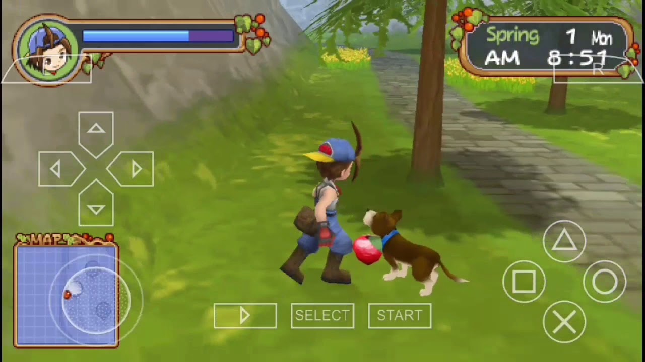 All power berry in harvest moon holv psp