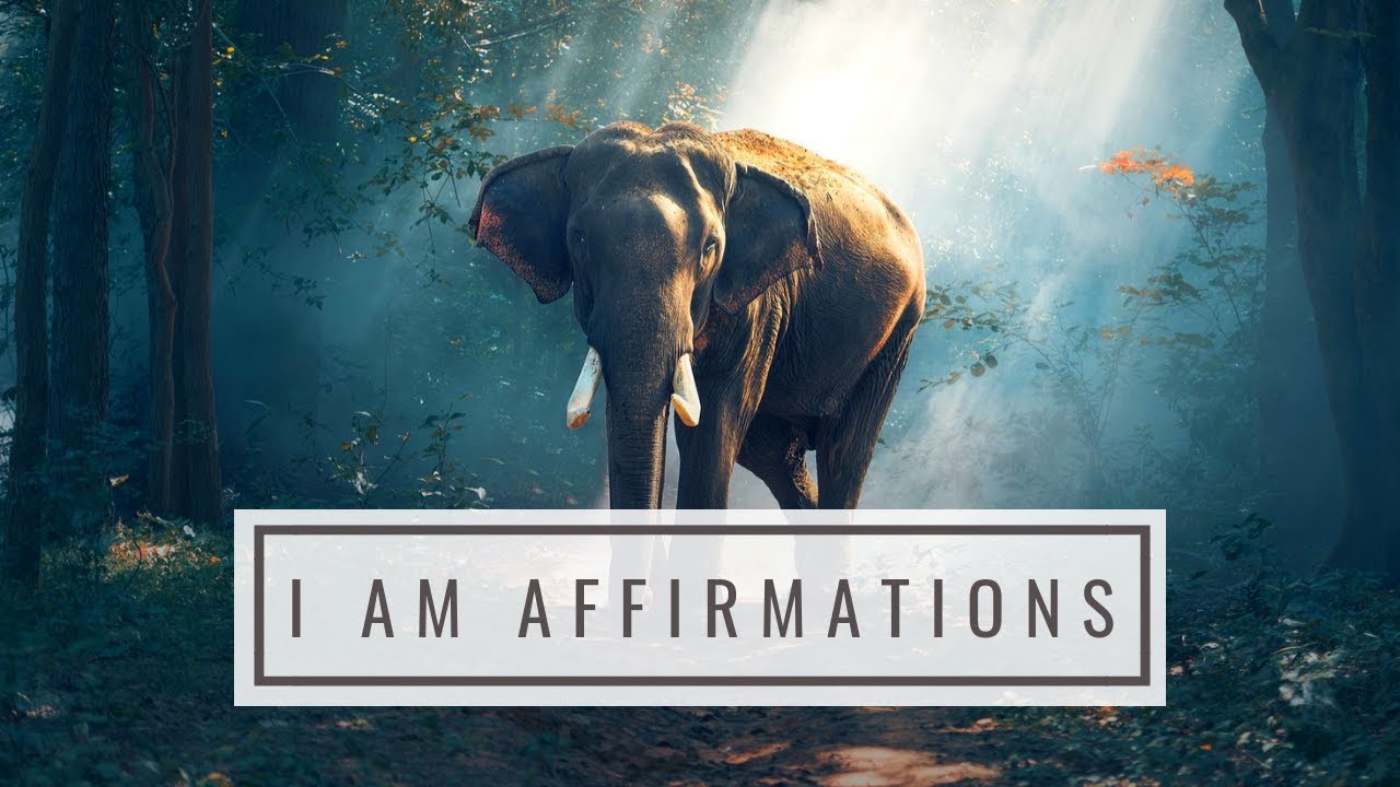 I AM Affirmations ➤ Patience, Tolerance & Acceptance: Self-Love, Awakening, Freedom & Inner Peace