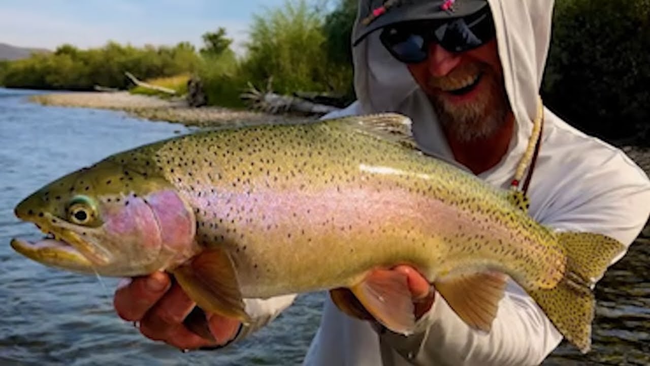 Fly Fishing Guides of Yellowstone Teton Territory