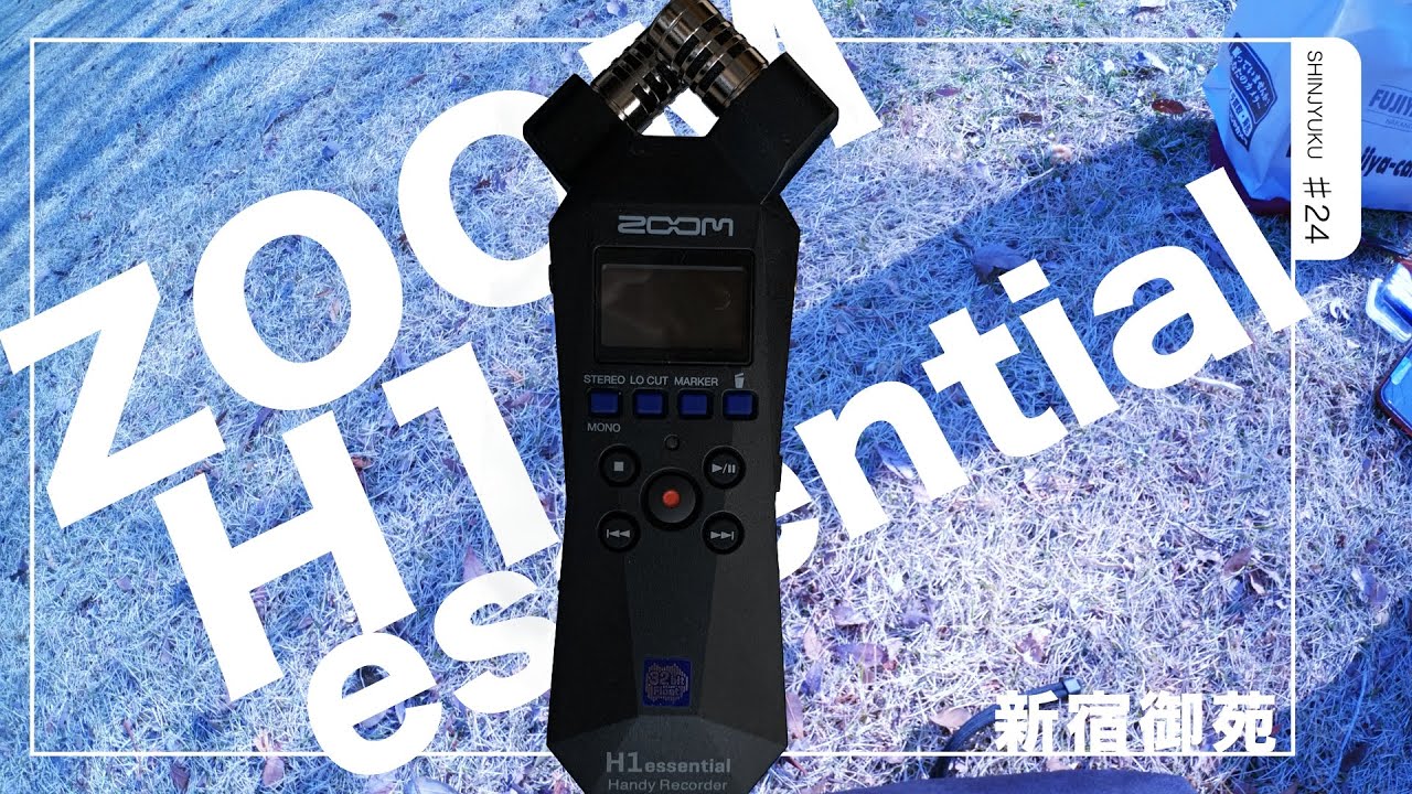 新発売したZoom H1 essential｜ハンディレコーダー 32bitフロートステレオ録音｜新宿御苑 #zoom  #H1essential　#dji