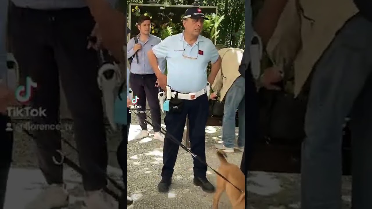 Sembrano cuccioli. Sono cani antidroga fiorentini