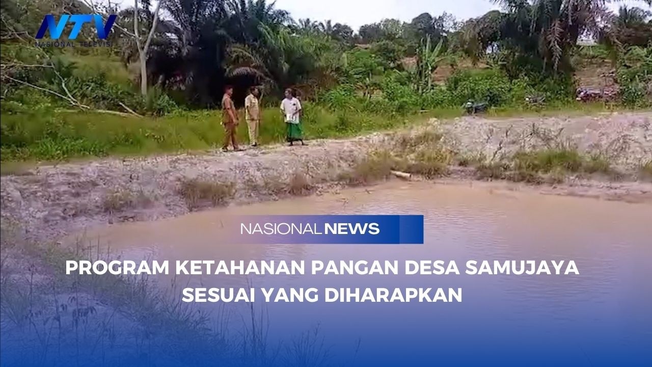 PROGRAM KETAHANAN PANGAN DESA SAMUJAYA SESUAI YANG DIHARAPKAN