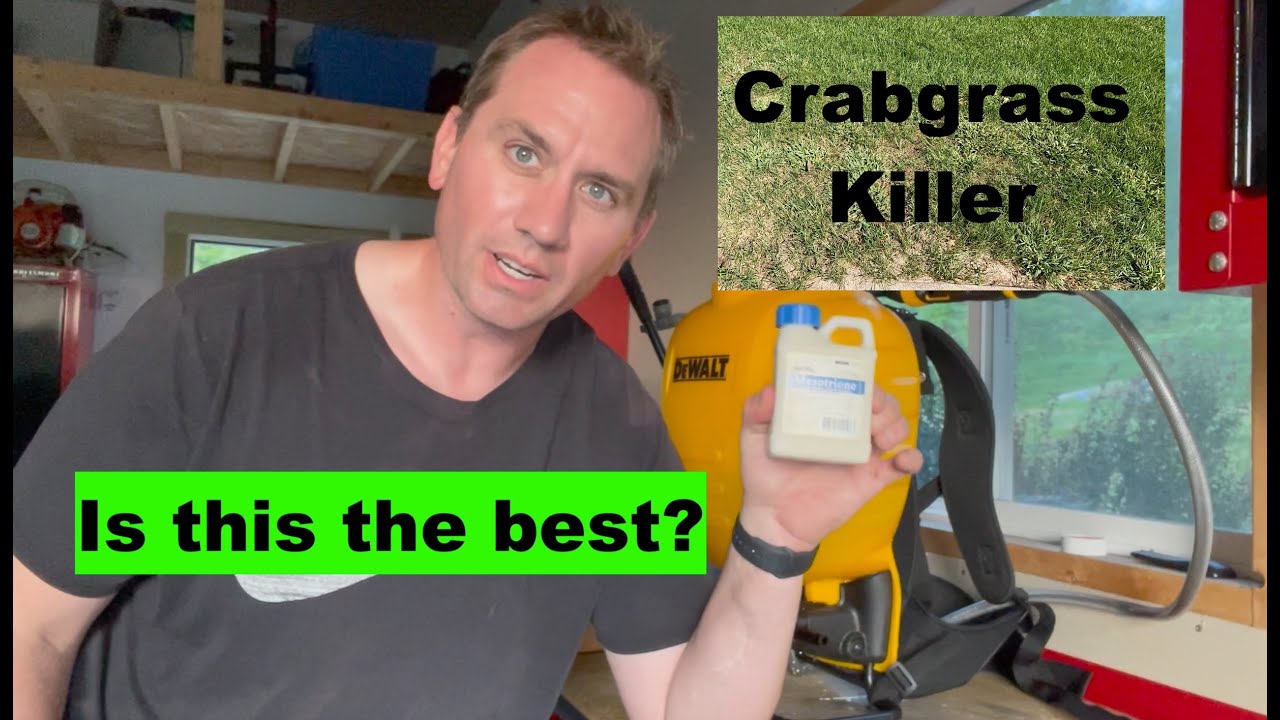 Crabgrass Killer - Mesotrione (Tenacity) - Это лучшее?
