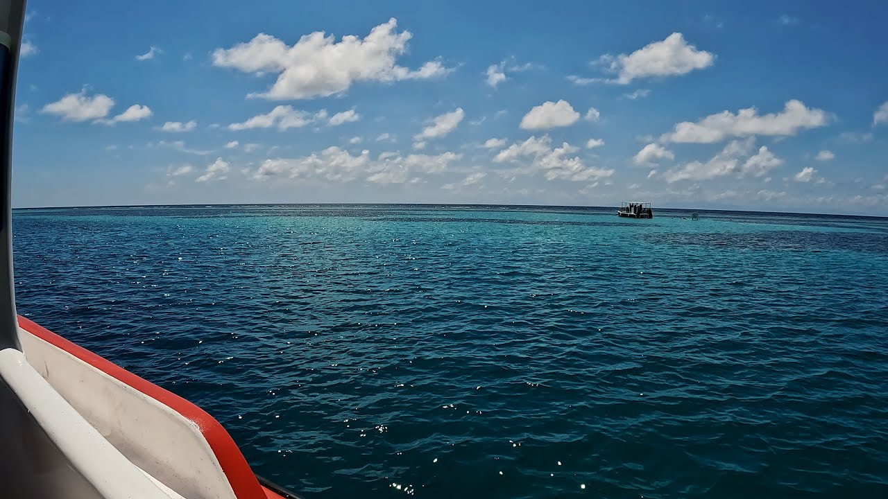 Roatan Scuba Diving 2023 at CoCo View Resort