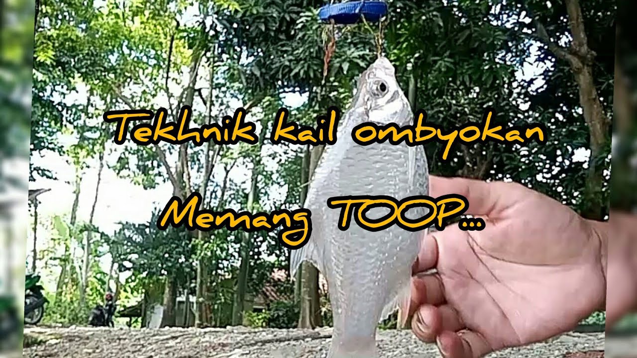 Spot mancing kalimalang