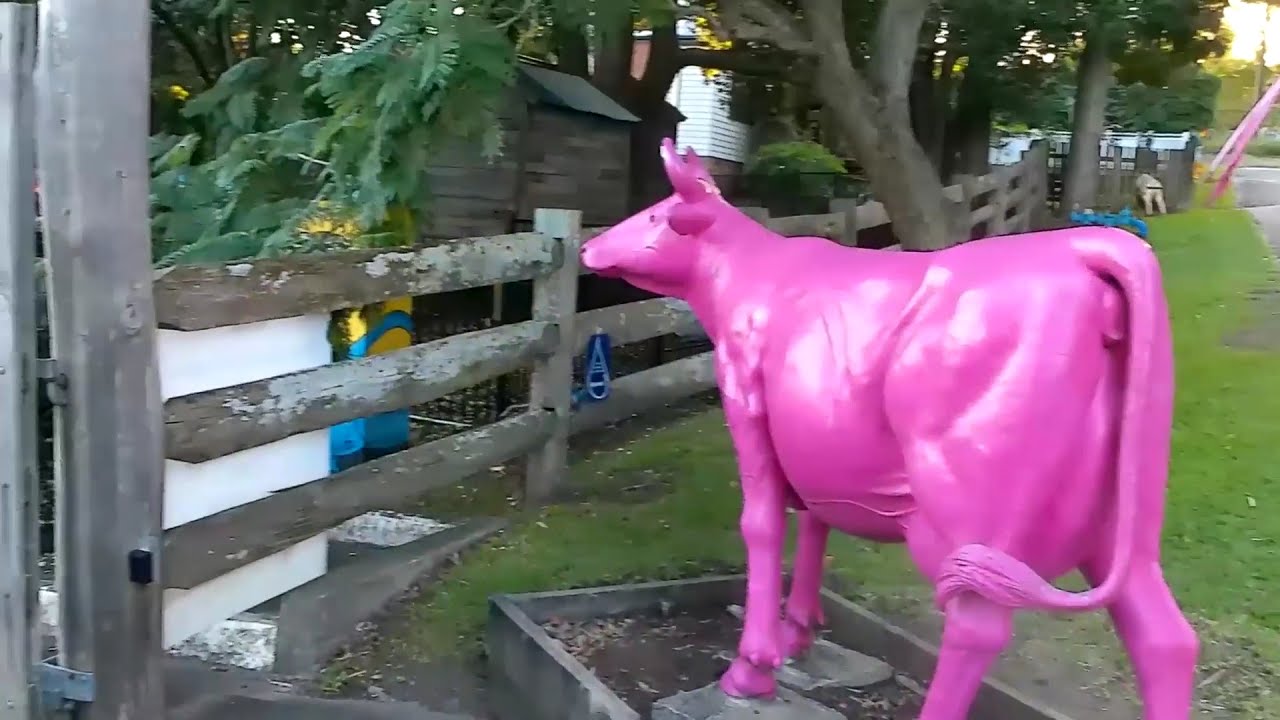 Driving through Wyong and Tuggerah, Central Coast NSW, stopping at Wyong River and a few parks