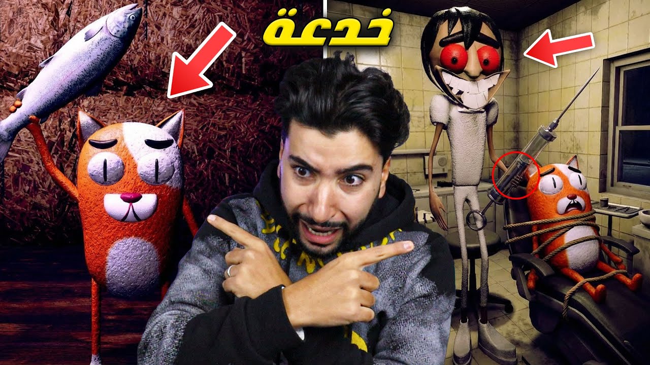 هذا القط المسكين فقد كل أسنانه لهذا السبب .. 😳 | Coco The Scaredy Cat