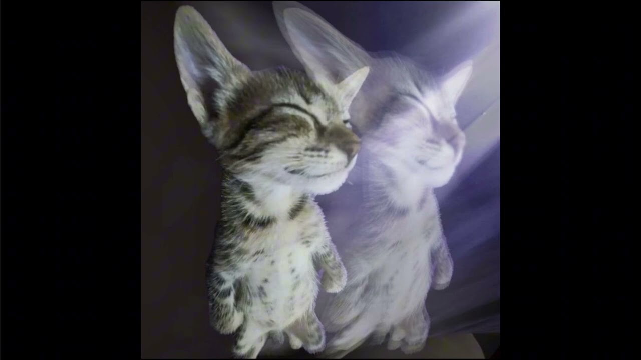 sleepy friends платина + code80[clud_remix]