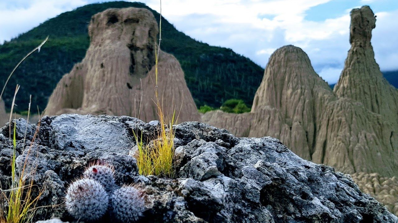 Zapotitlán Salinas, Puebla. Reserva de la biosfera Tehuacán Cuicatlán.