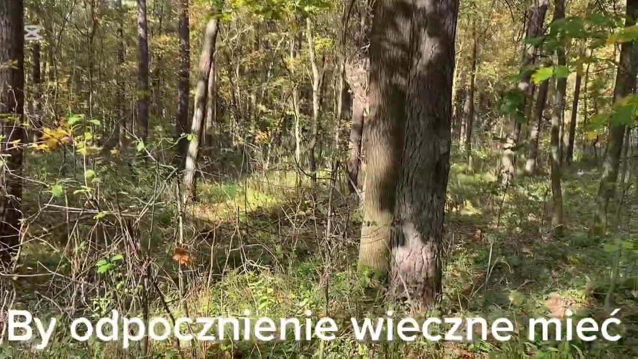 Zostaje jeszcze odpocznienie 