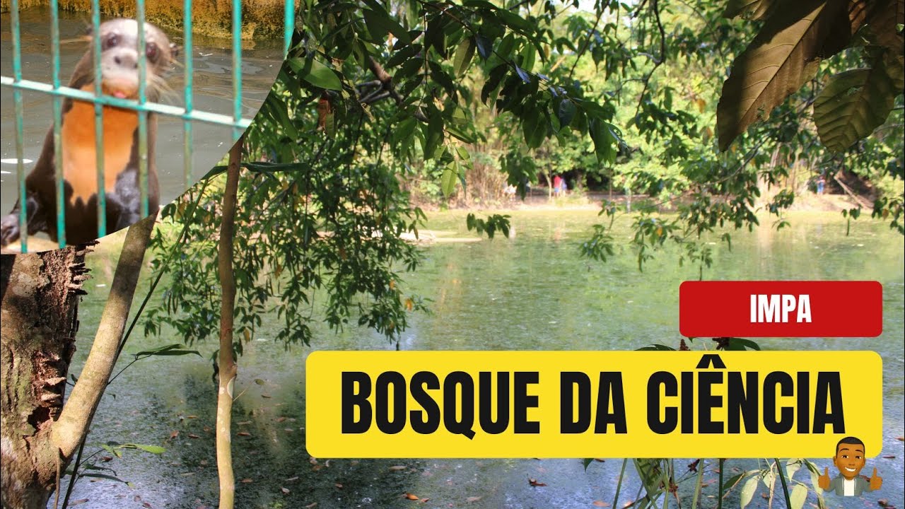 Bosque da Ciência (INPA) | #manaus2022