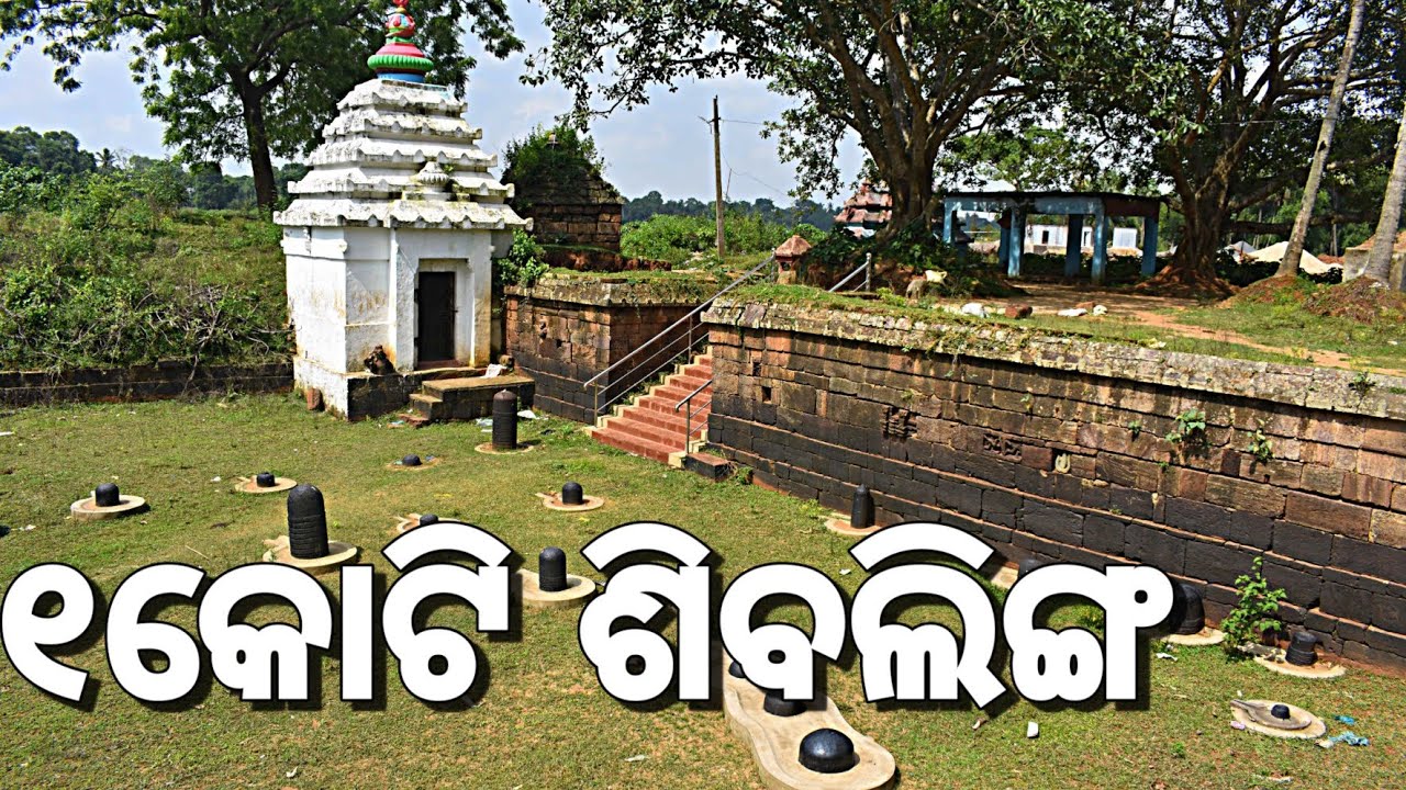 Hundreds of Shiva Lingam with Mysterious Text - Asthiswar Mahadev