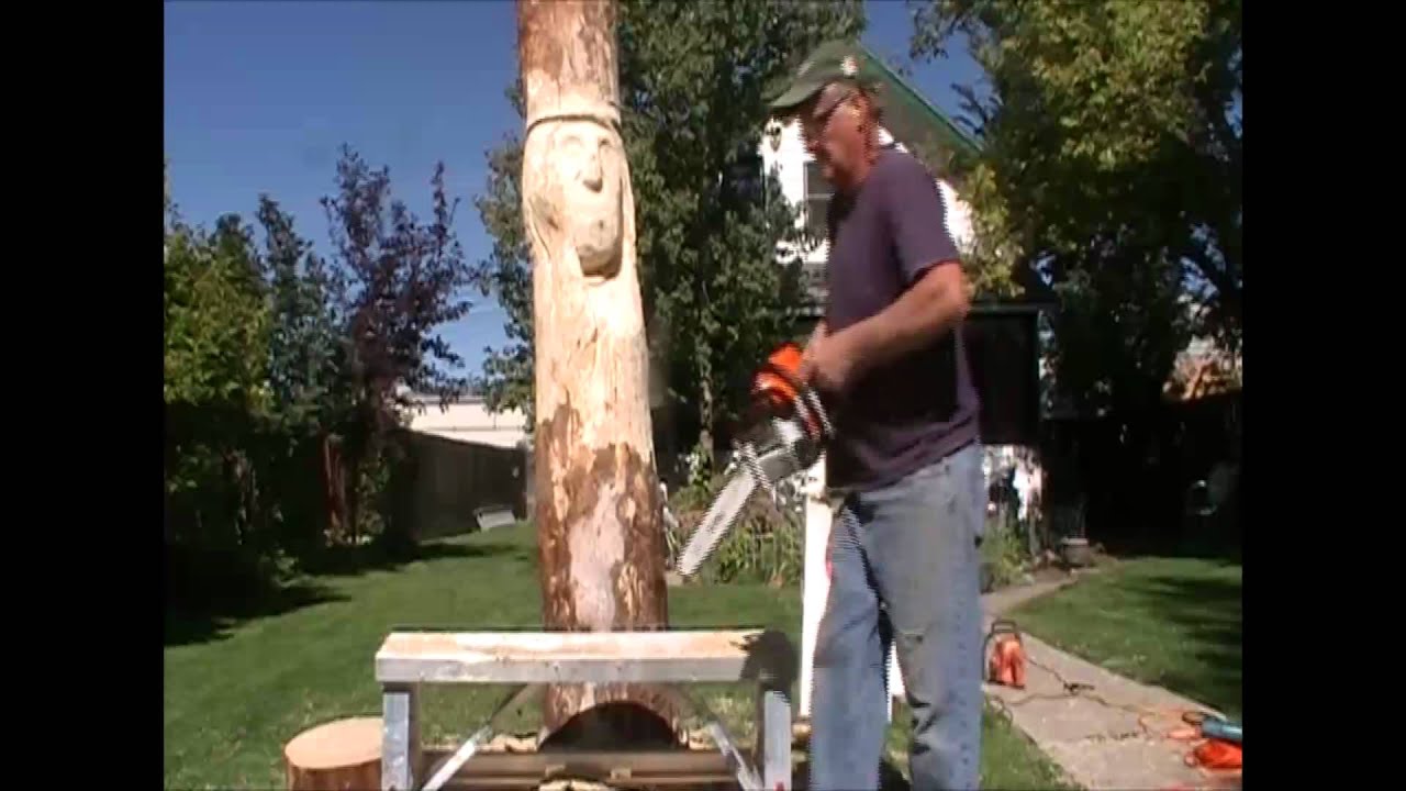 Tree Stumps Carved into Chess Pieces