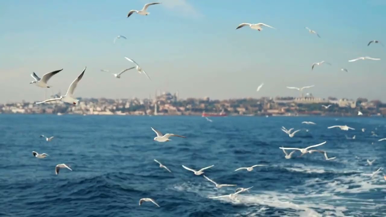 Quando a Fé Encontra o Milagre | Michele Torres