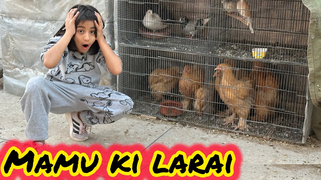 Mamu Ki Larai Se Animals Ho Gaye Angry 😳