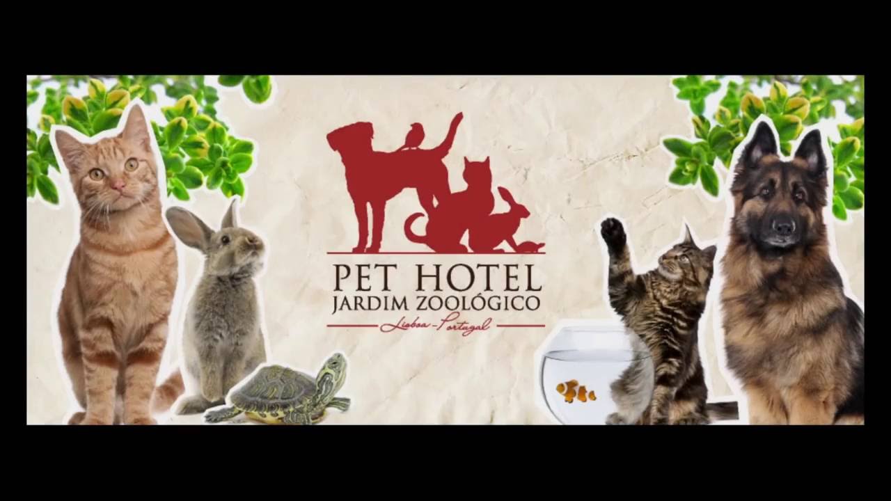 Jardim Zoológico - Apresentação Pet Hotel