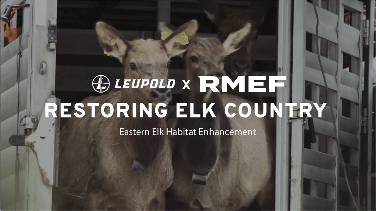 Restoring Elk Country - Eastern Elk Habitat Enhancement