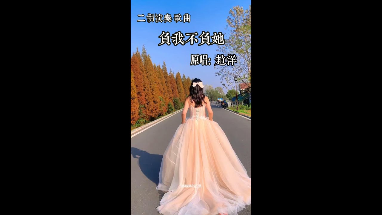 负我不负她   二胡街头演奏 伤感情歌 你为什么负我不负她 当初的情话早已成风飞沙 #二胡 #纯音乐 #伤感音乐