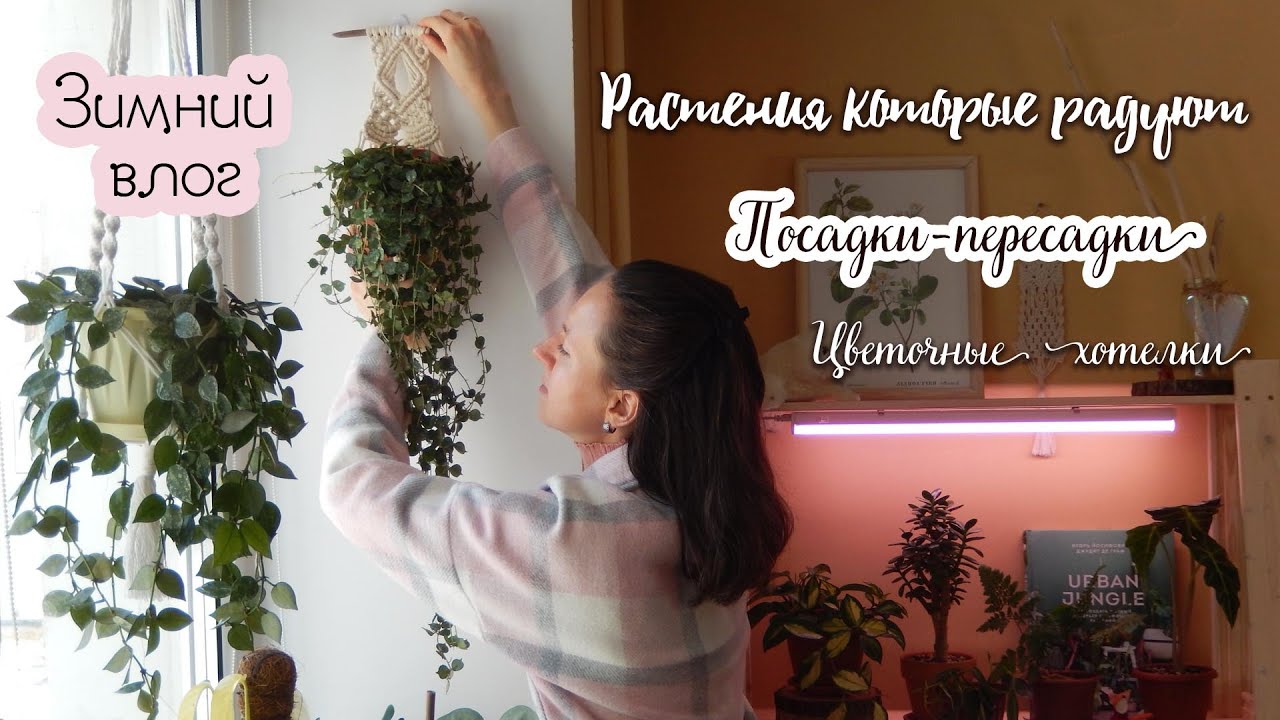 Влог: С какими растениями попрощалась зимой | Про цветочные хотелки | Растения которые очень радуют