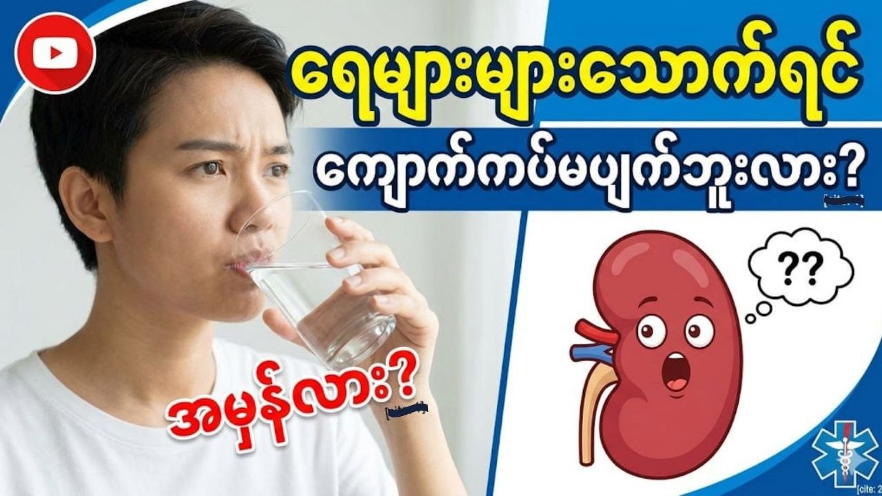 ရေများများသောက်ရင် ကျောက်ကပ်ရောဂါ မဖြစ်ဘူးဆိုတာ တကယ်ပဲလား? 🤔