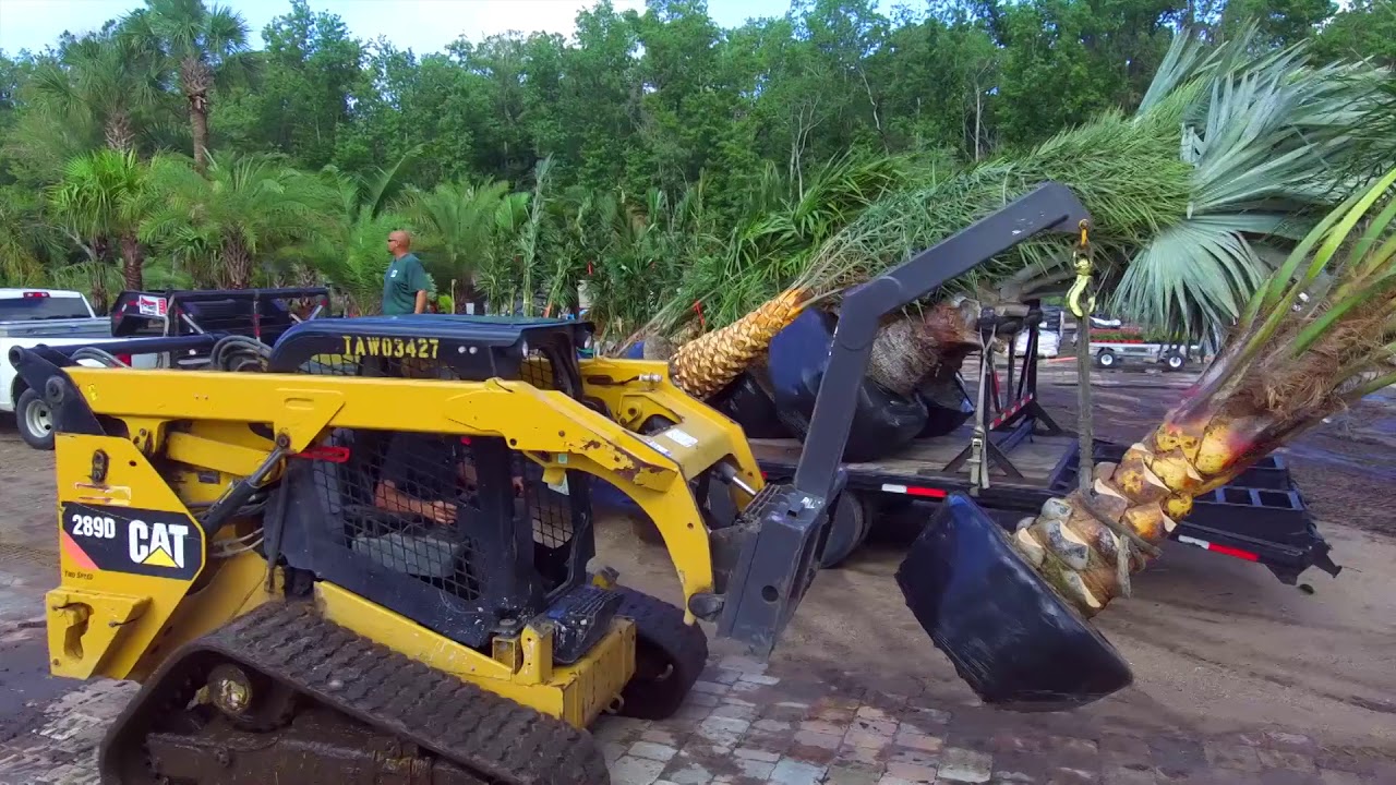 Latest Earth Works Palm Delivery