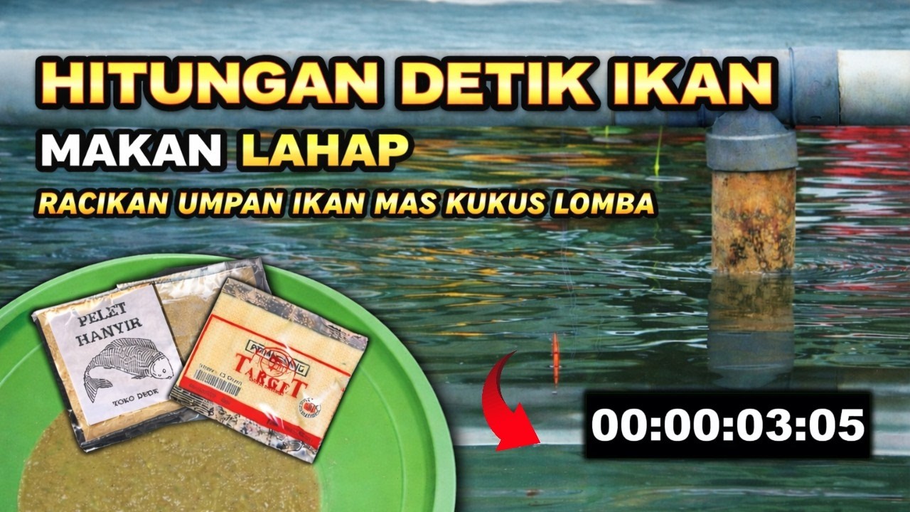 HITUNGAN DETIK IKAN MAKAN LAHAP RACIKAN INI ❗ KEJAMNYA RACIKAN UMPAN IKAN MAS PUTIH KUKUS ❗❗