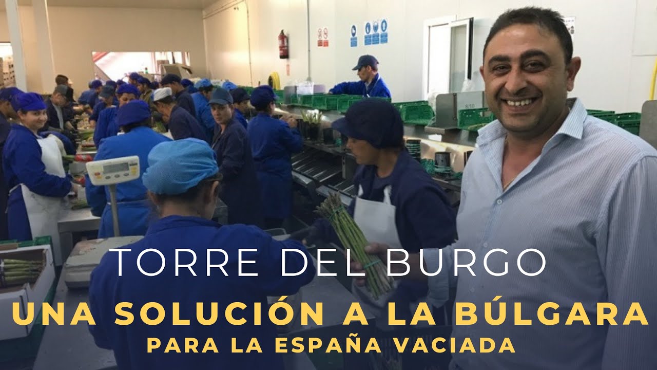 Reportaje | Torre del Burgo: Una solución 